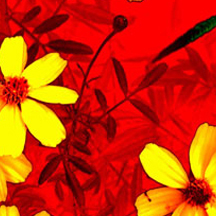 ddos流量攻击购买