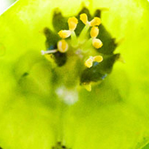 ddos流量攻击购买